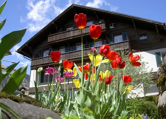 Hotel Sternen Lenk